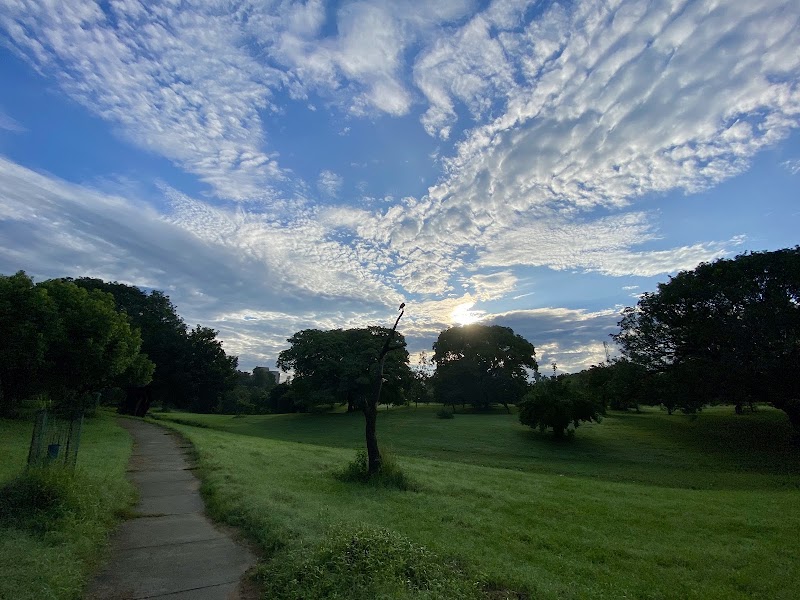 Bougainvillea Park, 3B Chandigarh - Bougainvillea Park, 3B Chandigarh QQ5W+894, 3B, Sector 3, Chandigarh, 160001, India