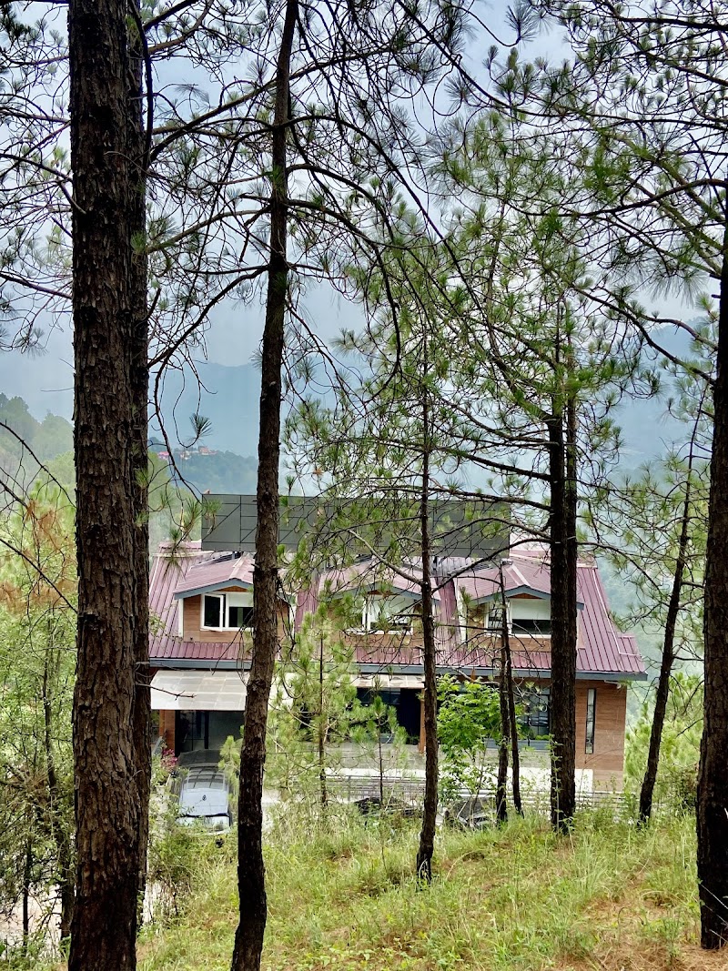 Pristine Pines - Pristine Pines Sanawar road, Sukhi jori, Kasauli, Dharampur, Himachal Pradesh 173209, India