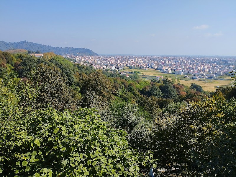 Siyahdaran Forest Park - Siyahdaran Forest Park, Gilan Province, سیادران, خیابان ساحل دریای هشتپر، پارک جنگلی سیاهداران، Iran