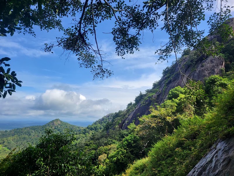 Edakkal Caves - Edakkal Caves Nenmeni, Kerala 673593, India