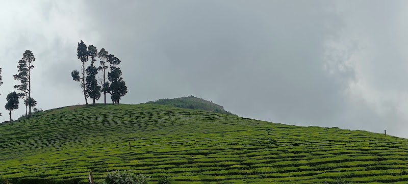 Ooty mountain view - Ooty mountain view 9PPM+QWJ, Coonoor Rd, Pudu Line, Ketti, Tamil Nadu 643215, India