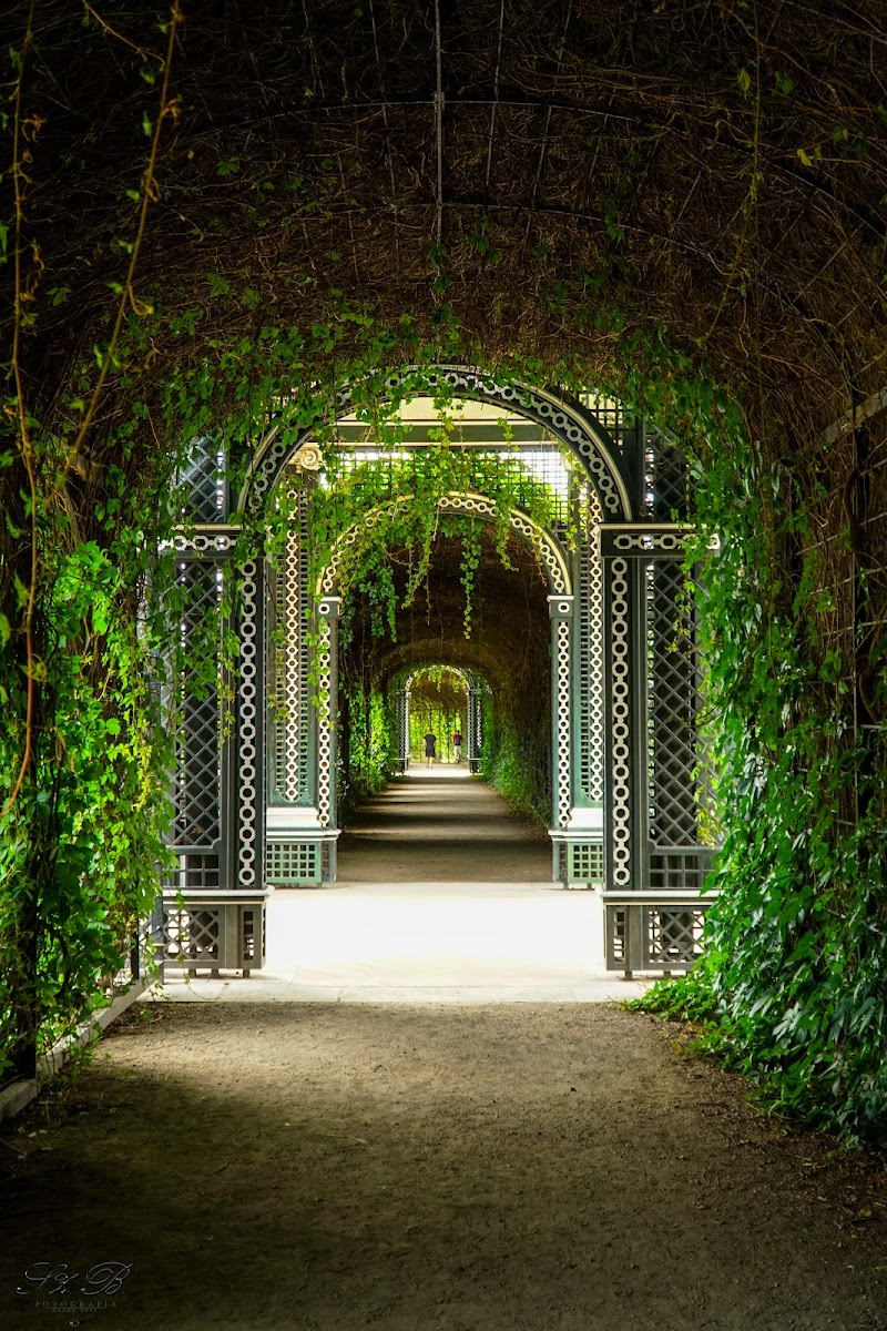 Crown Prince Garden - Crown Prince Garden, Lichte Allee, 1130 Wien, Austria