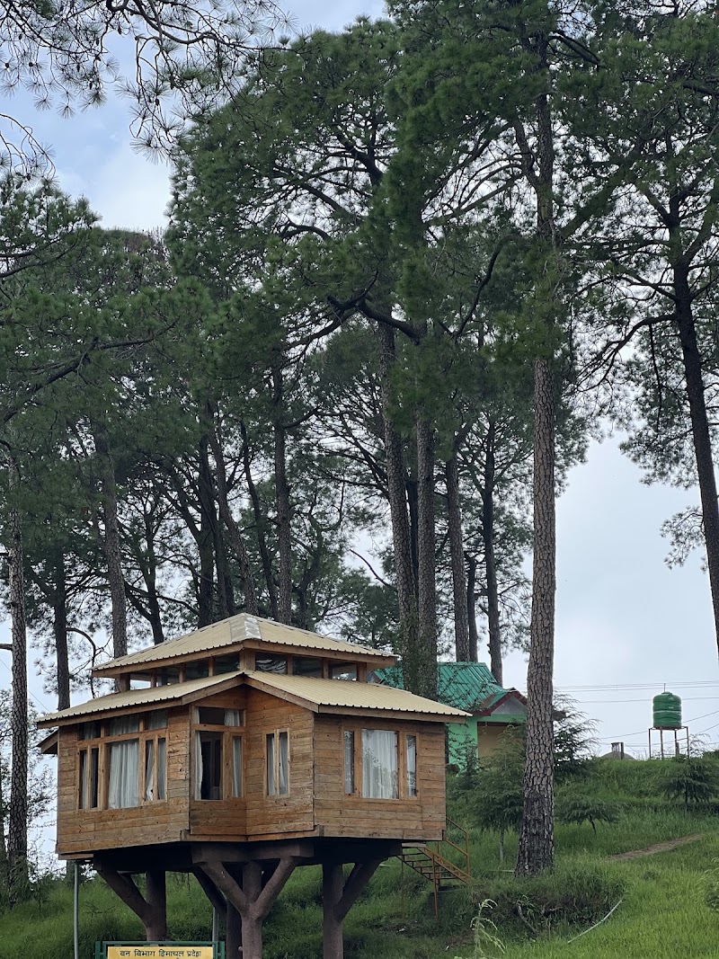 Forest Rest House, Satovari - Forest Rest House, Satovari Unnamed Road, Satovari, Tota Rani, Himachal Pradesh 176216, India