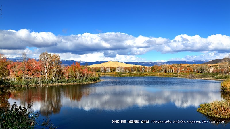 White Birch Forest Scenic Area