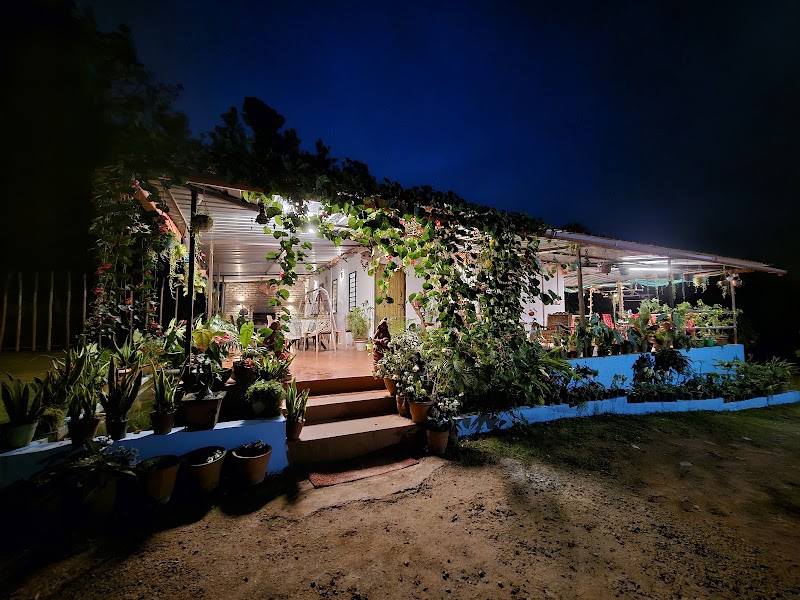 Coorg Coffee Park Farmstay, A private villa stay