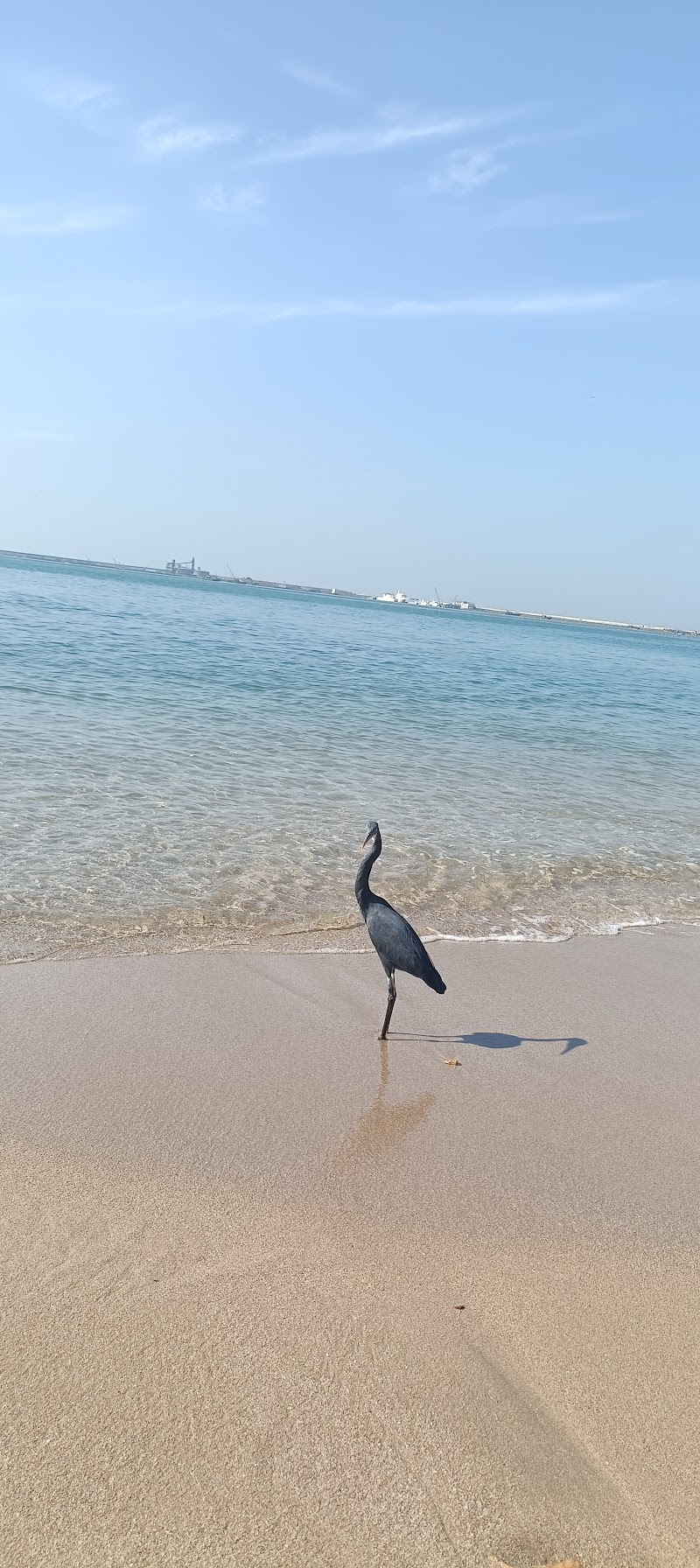 Sea view point - Sea view point, JJM4+9F5, GEB Colony, Porbandar, Gujarat 360575, India