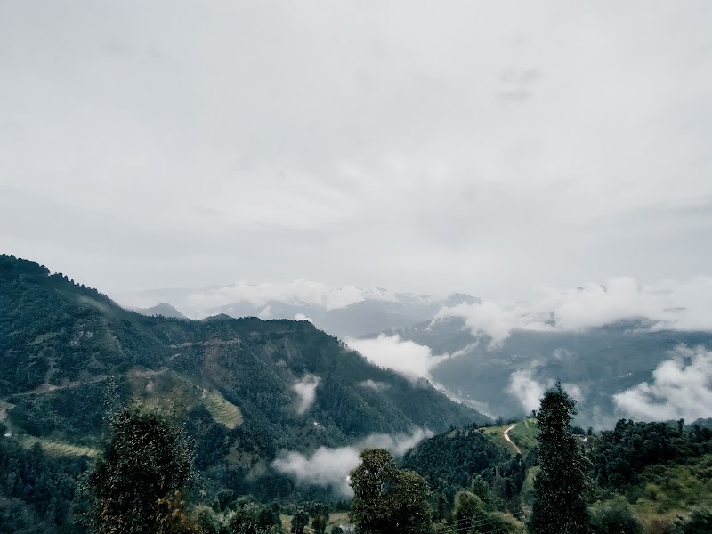 Eco Park - Eco Park Chamba - Mussoorie Rd, Dhanolti, Uttarakhand 249180, India