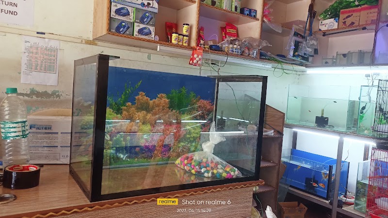 Shark Tank Pet Shop - Shark Tank Pet Shop, Infront of C, N.I. Church , Mission, Sagundungari, Odisha 766107, India