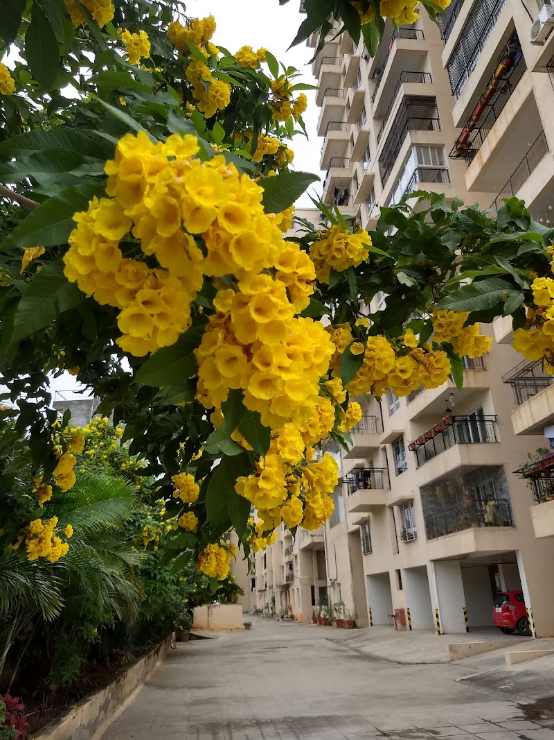 Plama Heights - Plama Heights, North, Punappa Layout, Hennur Gardens, corrs, Bengaluru, Karnataka 560043, India