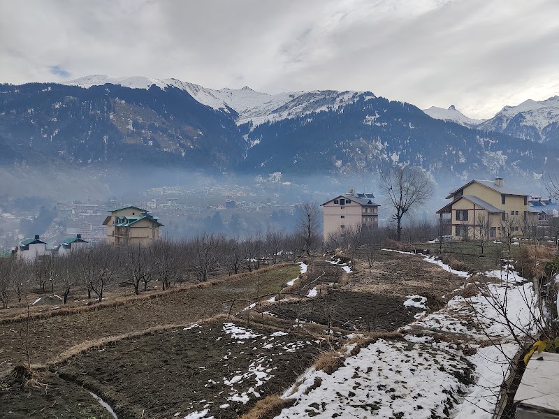 Mountain View Cottage - Mountain View Cottage Kanyal Rd, Simsa Village, Manali, Nasogi, Himachal Pradesh 175131, India