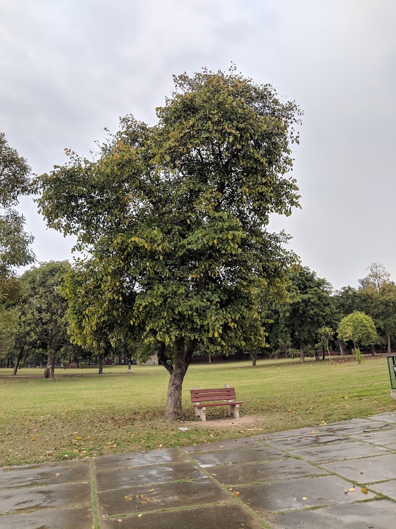 Leisure Valley - Leisure Valley 10B, Sector 10B, Chandigarh, 160011, India