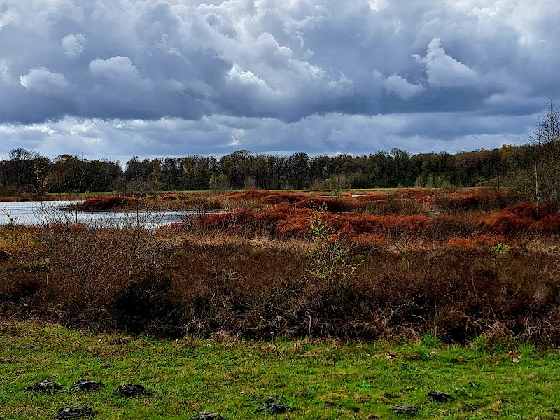 Jachthut op den Hamer - Jachthut op den Hamer Twistedenerweg 2, 5856 CK Wellerlooi, Netherlands