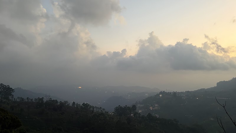 Pothamedu - Pothamedu Ottamaram, Road, Bison Valley, Munnar, Kerala 685565, India