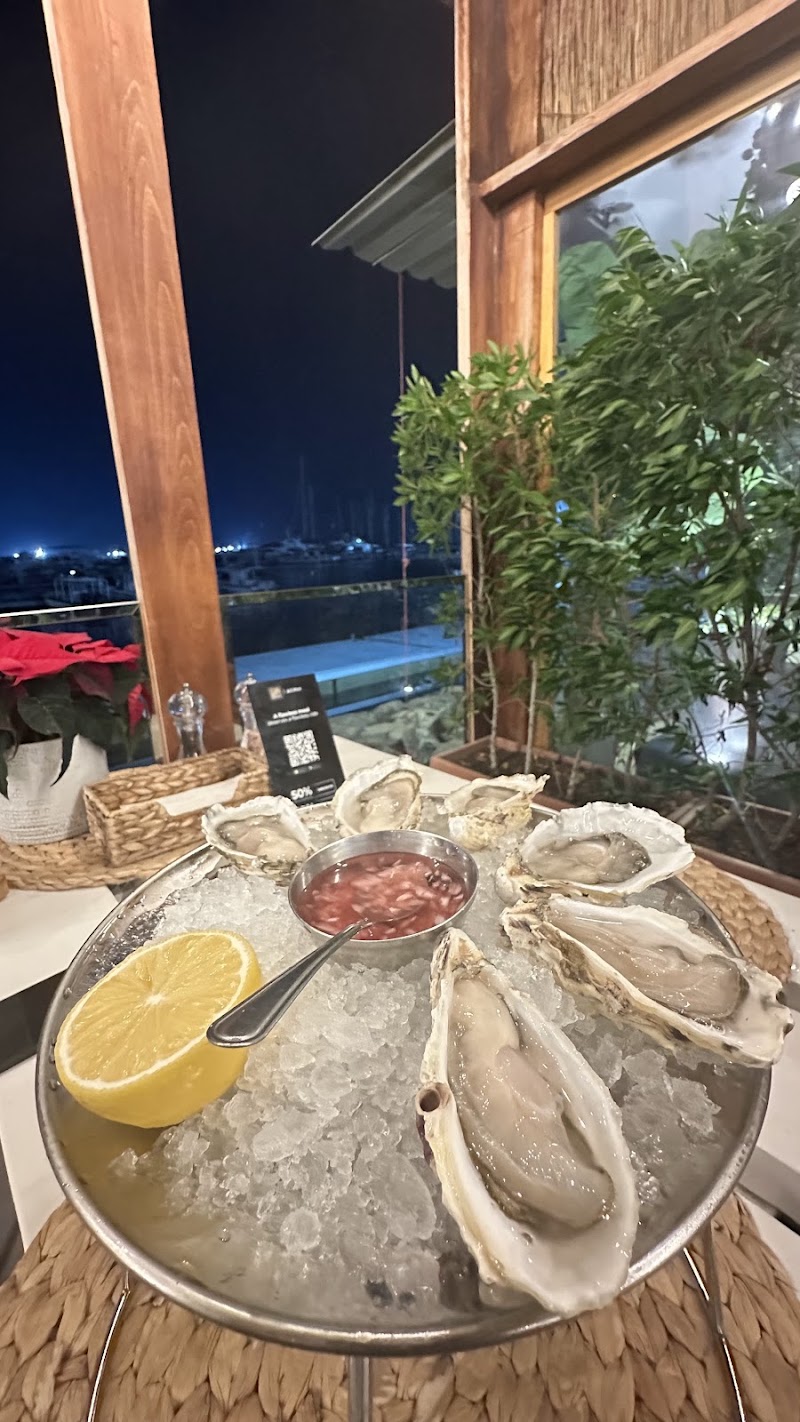 Dibba Bay Oysters - Dibba Bay Oysters Fishing Harbour 2 - أم سقيم الأولى - ام سقيم 1 - دبي - United Arab Emirates