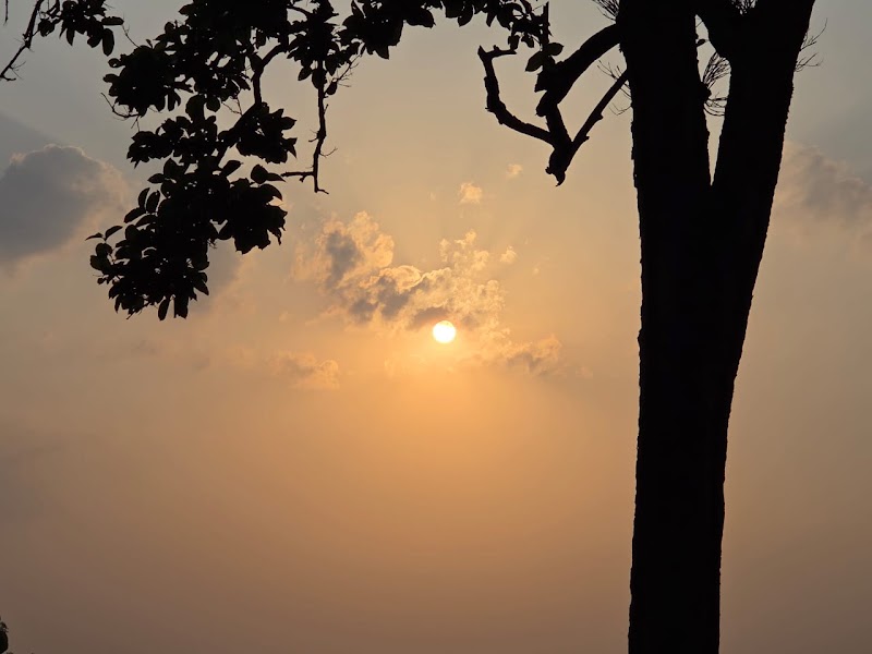 Pine Forest View Area - Pine Forest View Area G65V+6CF, Sunset Point Rd, Netarhat, Jharkhand 835218, India