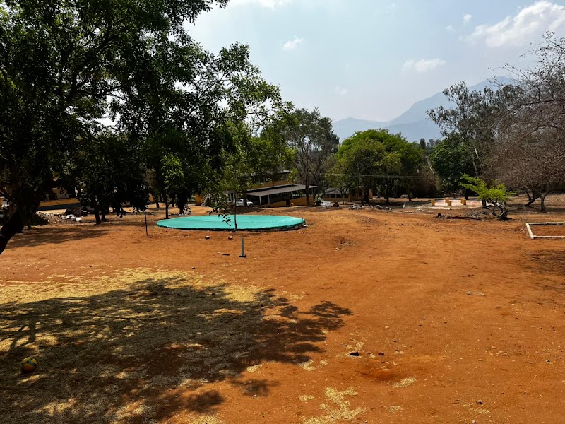 Wild Forest Resort, Masinagudi - Wild Forest Resort, Masinagudi, Chemmanatham Road, Mavanalla, Masinagudi, Tamil Nadu 643223, India