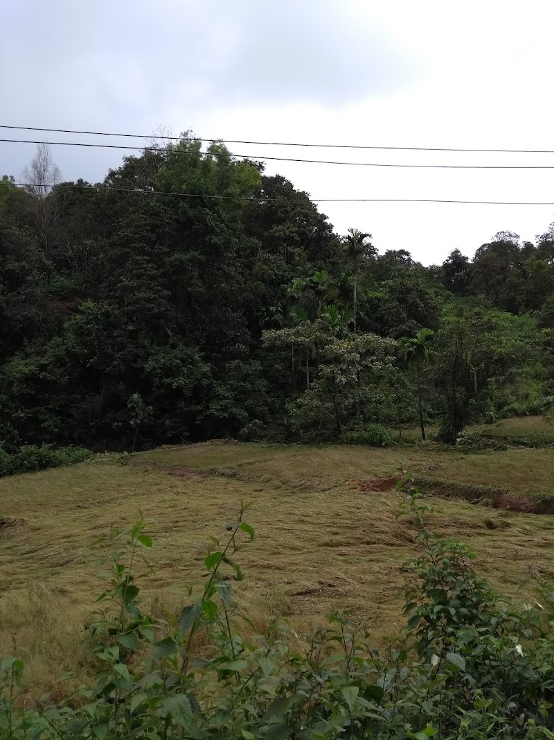 Verlen - Verlen, Goa, India