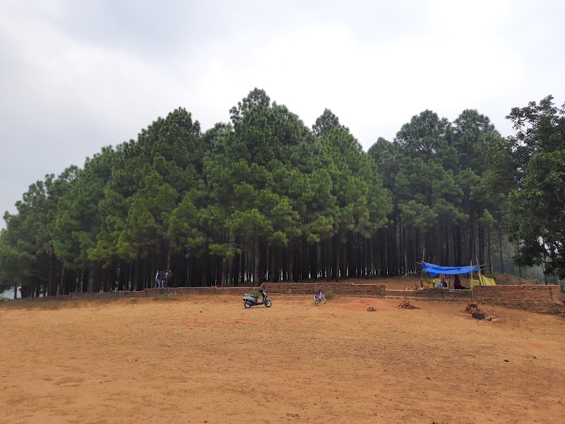 Koel View Point - Koel View Point Netarhat, Jharkhand 835218, India