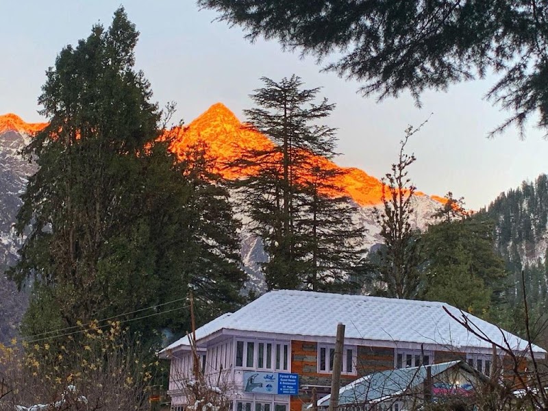 Old Forest View Guest House and Restaurant, Pulga - Old Forest View Guest House and Restaurant, Pulga Pulga, Sosan, Himachal Pradesh 175105, India