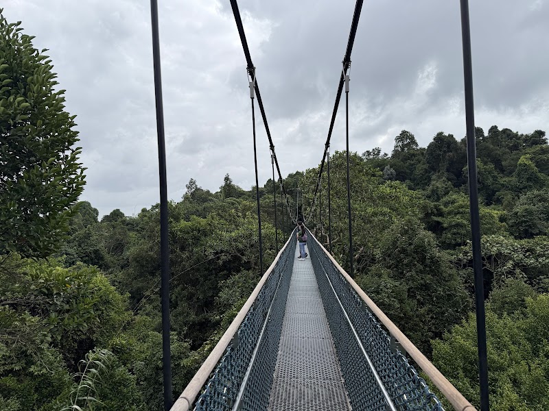 MacRitchie Reservoir - MacRitchie Reservoir, Singapore