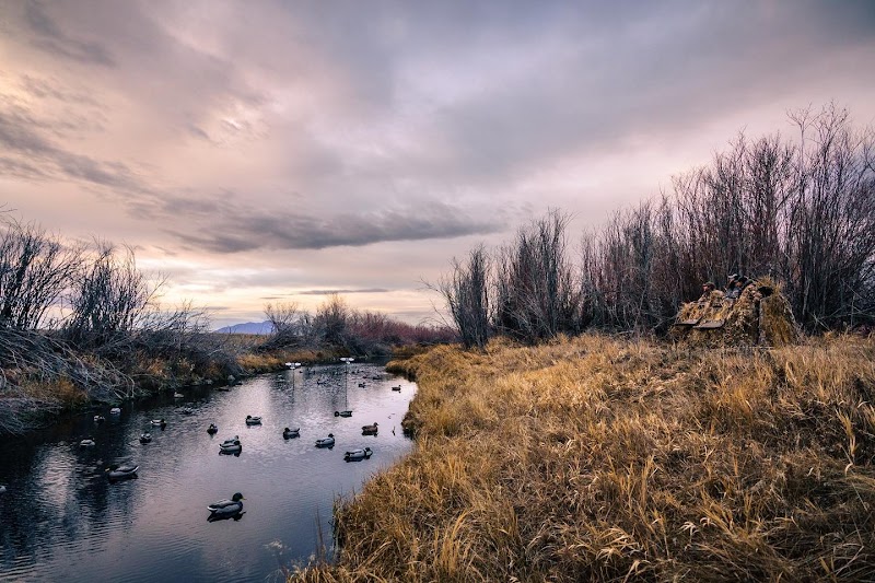Montana - Montana, USA