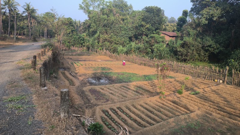 Zariwada Spring Cortali - Zariwada Spring Cortali 647V+QGF, Kotarli, Goa 403704, India