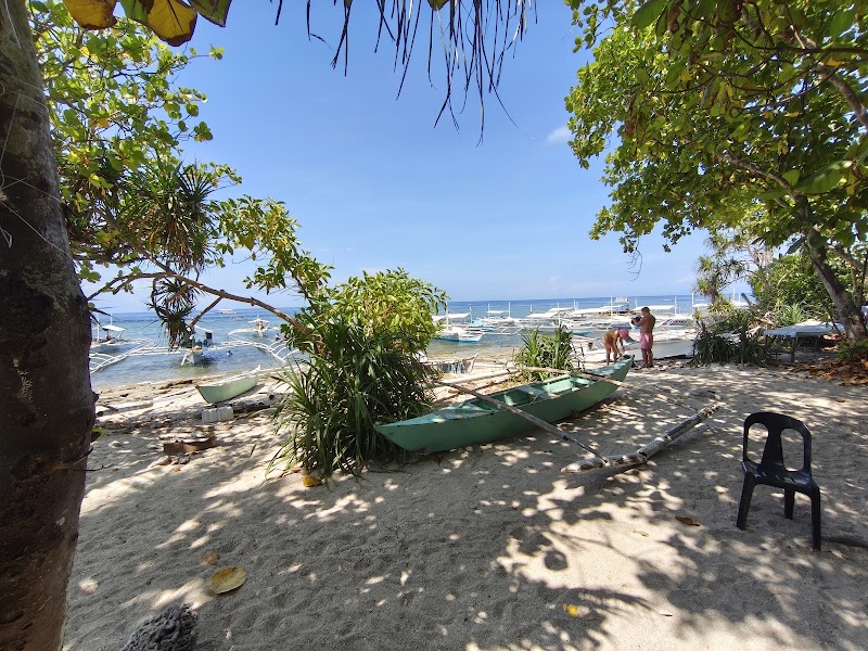 Wow Bohol Tours - Wow Bohol Tours, Purok 1 Tipolo, Panglao, 6300 Bohol, Philippines