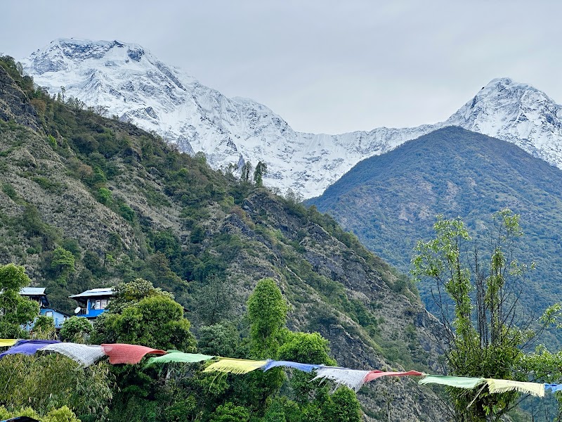 Namaste Guest House - Namaste Guest House CR5F+HQ4, Ghandruk 33700, Nepal