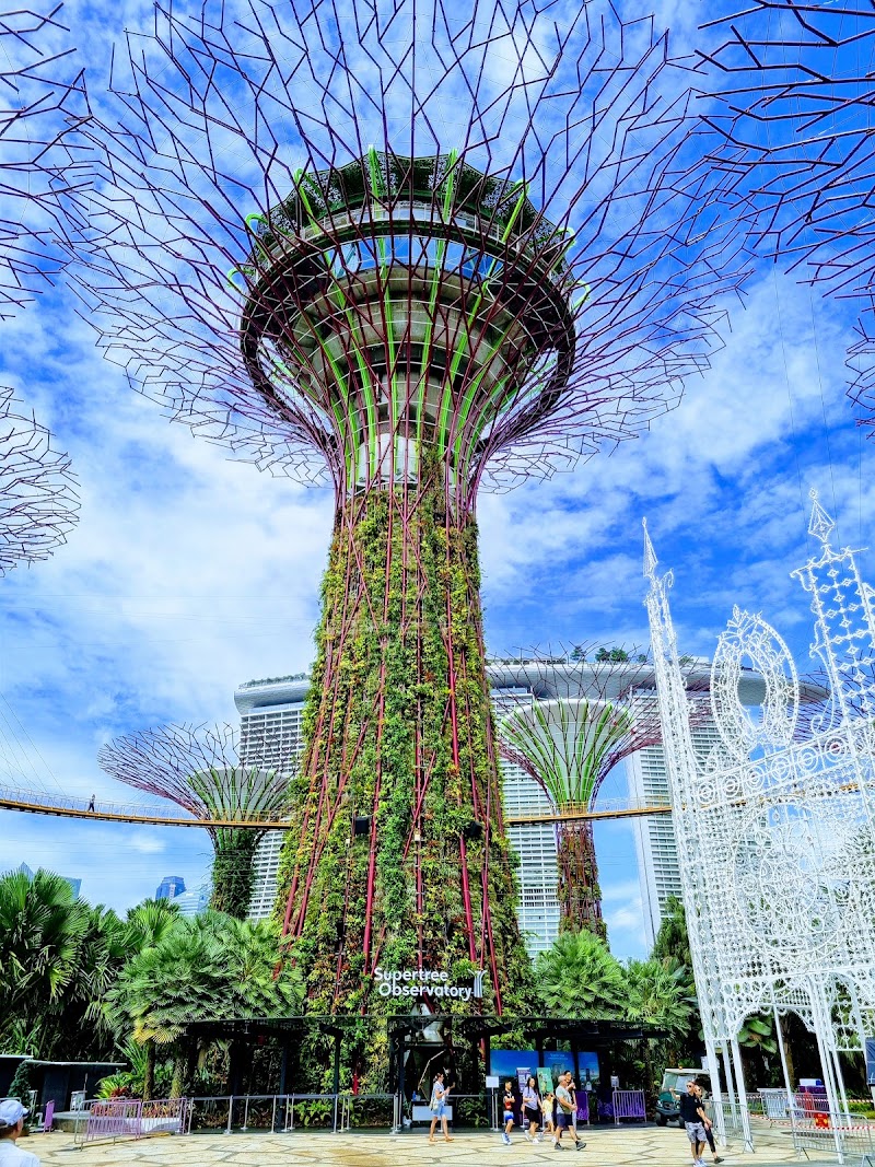 Supertree Grove