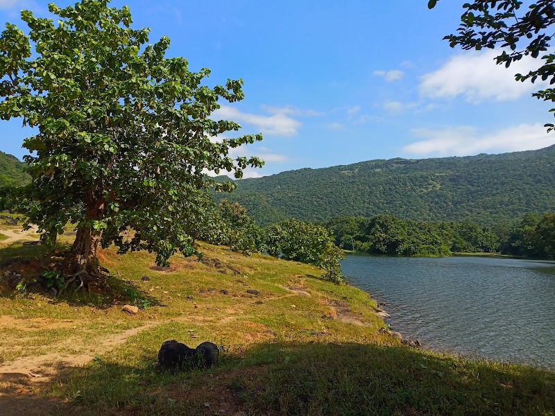 Kelva Dam - Kelva Dam, Zanzroli, Maharashtra 401403