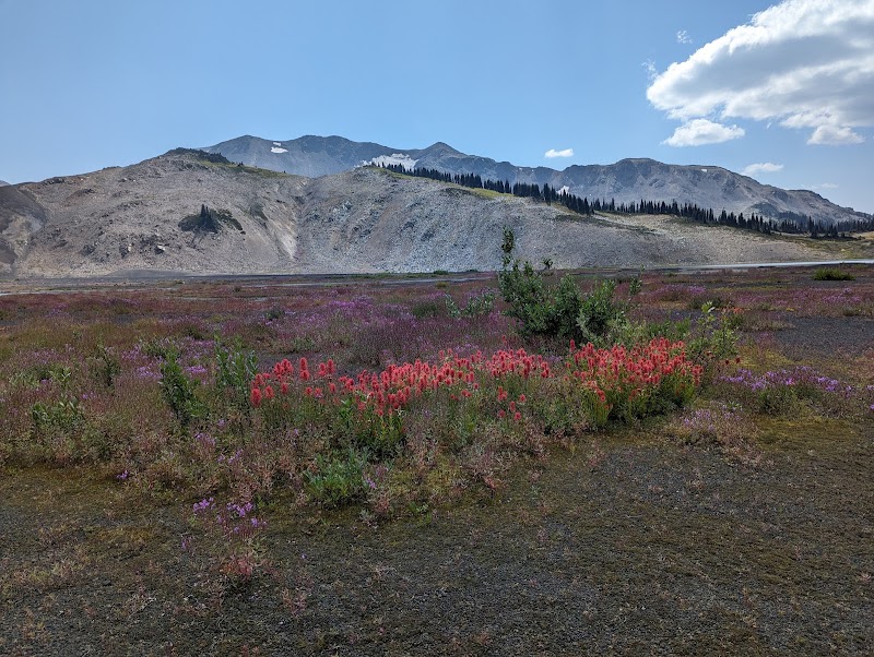 Helm Creek Camping - Helm Creek Camping Unnamed Road, 0A0, Whistler, BC V8E 0C2, Canada