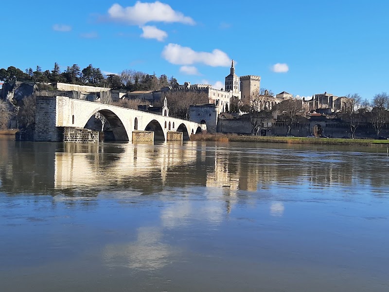 île de la Barthelasse - île de la Barthelasse île de la Barthelasse, 84000 Avignon, France