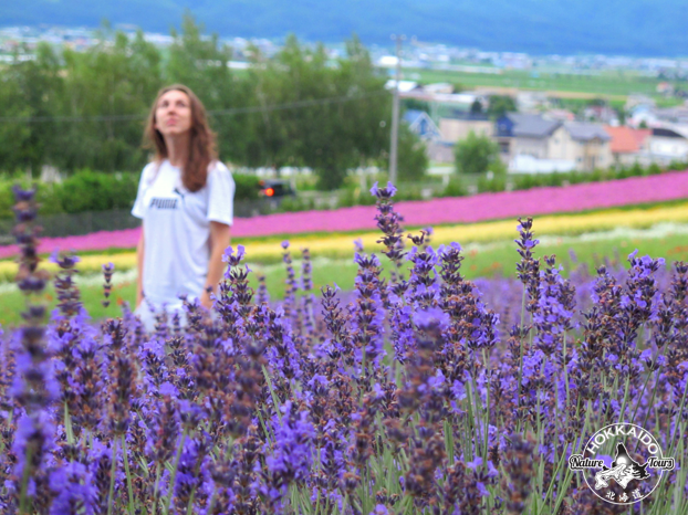 Hokkaido Nature Tours