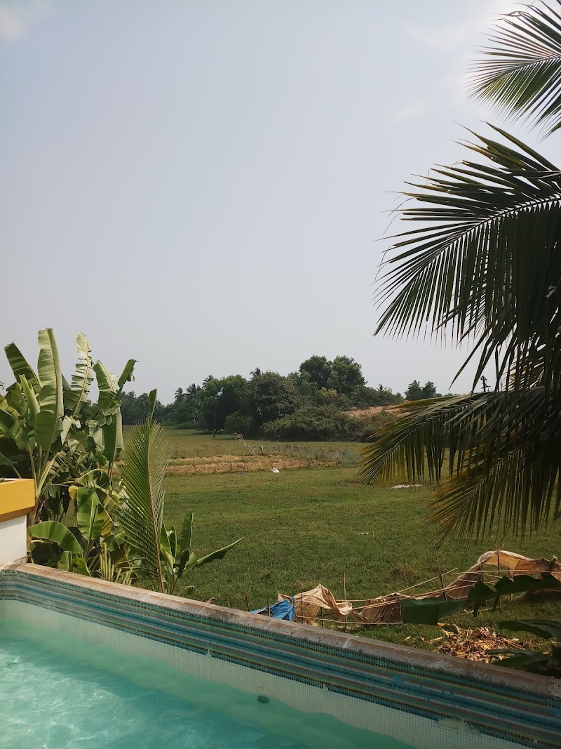 The Beach Goa - The Beach Goa, 336, 0, Caluwaddo, Benaulim, Goa 403716, India
