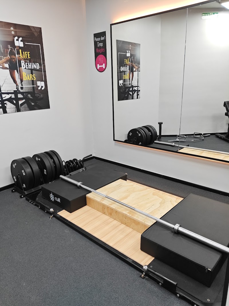 Cult Gym Sinhaghad | Best Gym in Sinhaghad, Pune - Cult Gym Sinhaghad | Best Gym in Sinhaghad, Pune, 1st Floor, Venkatesh Skydale, Rajaram Bridge, Sinhgad Rd, Vittalvadi, Hingne Khurd, Pune, Maharashtra 411051, India