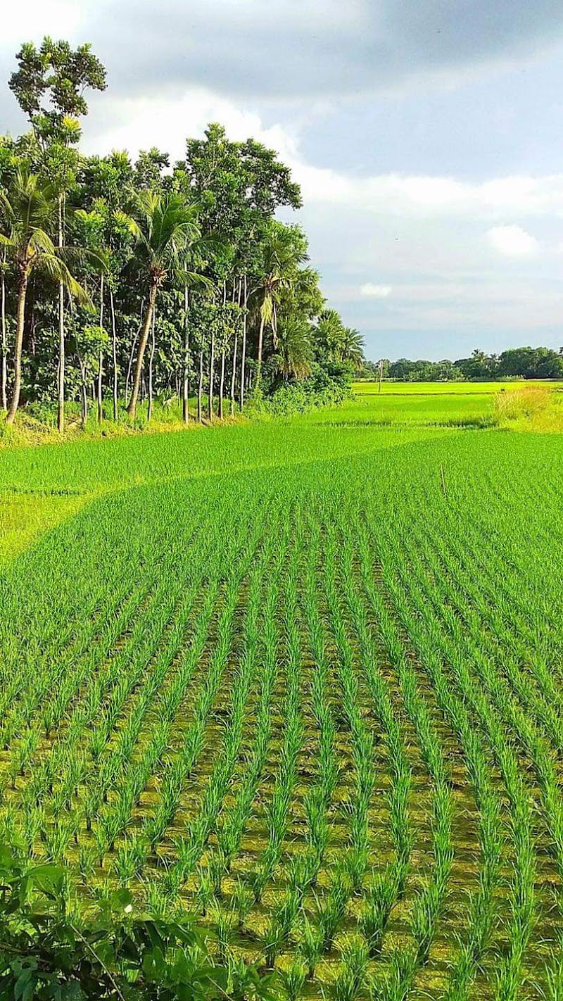 Sindhnur - Sindhnur, Karnataka, India