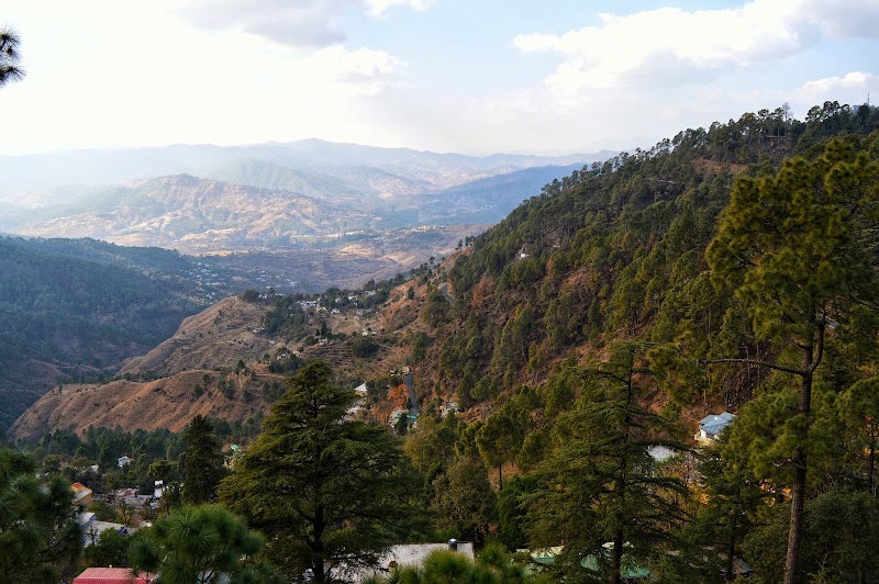 Simtola eco park gate Bablu simtola resturent - Simtola eco park gate Bablu simtola resturent Papersali, Hawal Bagh, Almora, Uttarakhand 263601, India