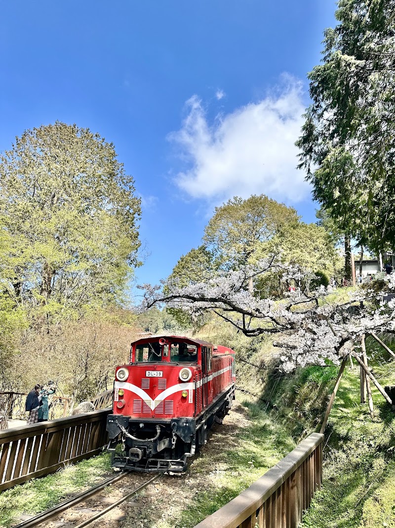 Forest Railway/ Alishan Station - Forest Railway/ Alishan Station Alishan Township, Chiayi County, Taiwan 605