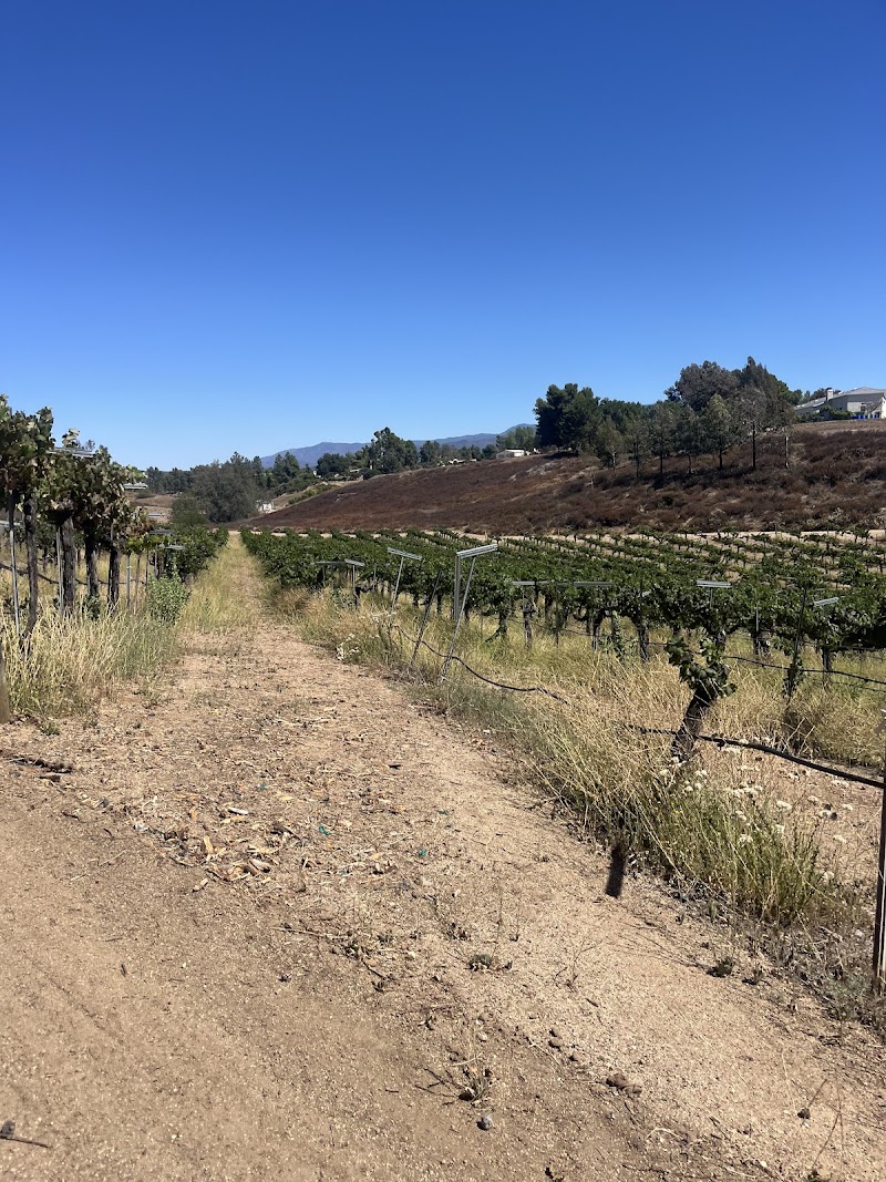 Sidecar Tours - Sidecar Tours, 39730 Calle Contento, Temecula, CA 92591, USA