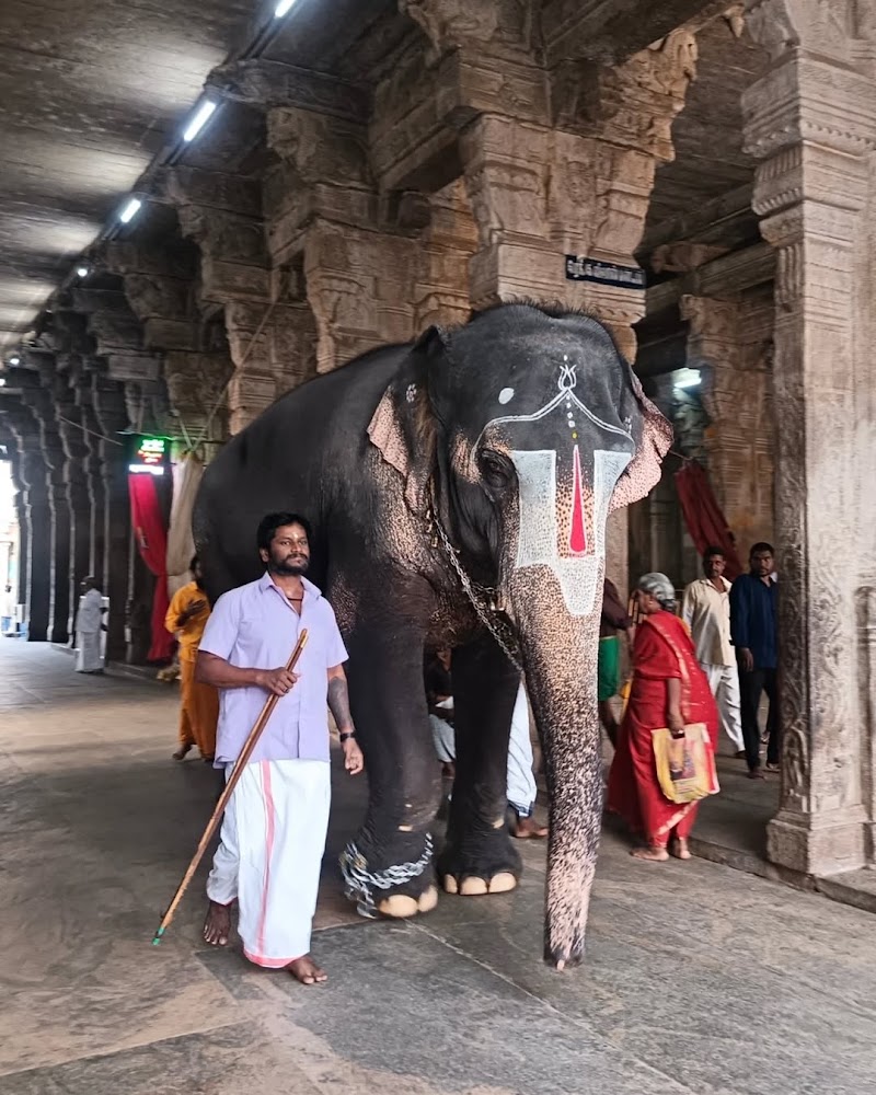 Sri Govindaraja Swamy Temple - Sri Govindaraja Swamy Temple, North Mada Street, Tirumala, Tirupati, Andhra Pradesh 517501, India