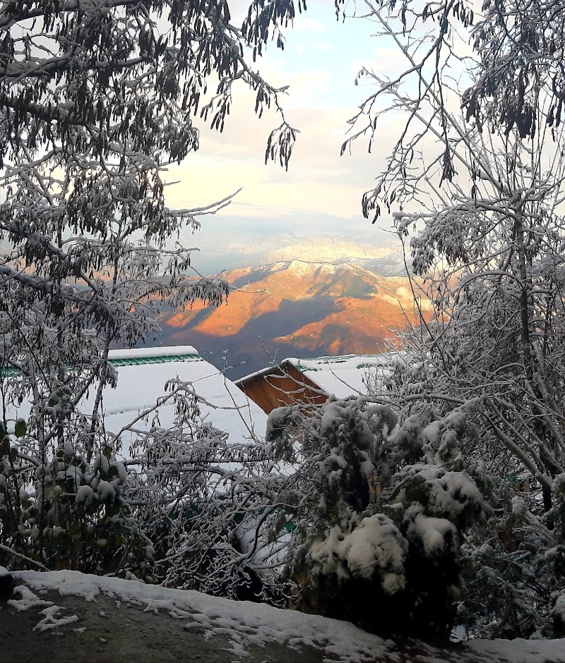 Seetalvan Orchard - Seetalvan Orchard, Kotgarh Narkanda, Shimla, Himachal Pradesh 172031, India