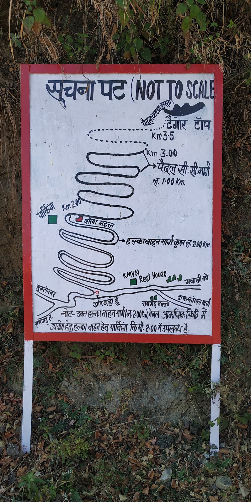 Tagore Top - Tagore Top, CH73+F95, Gagar, Bhowali Range, Uttarakhand 263137, India