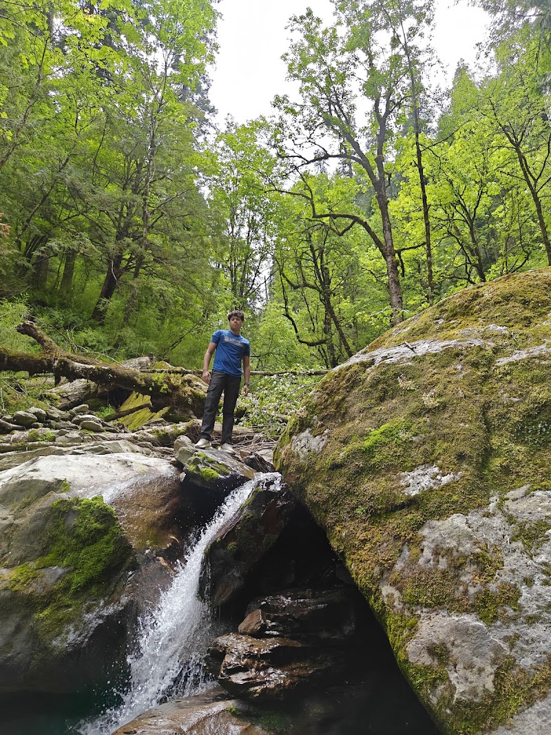 Shoja Waterfall Track Starting Point - Shoja Waterfall Track Starting Point, NH305, Sajwar, Himachal Pradesh 175123, India