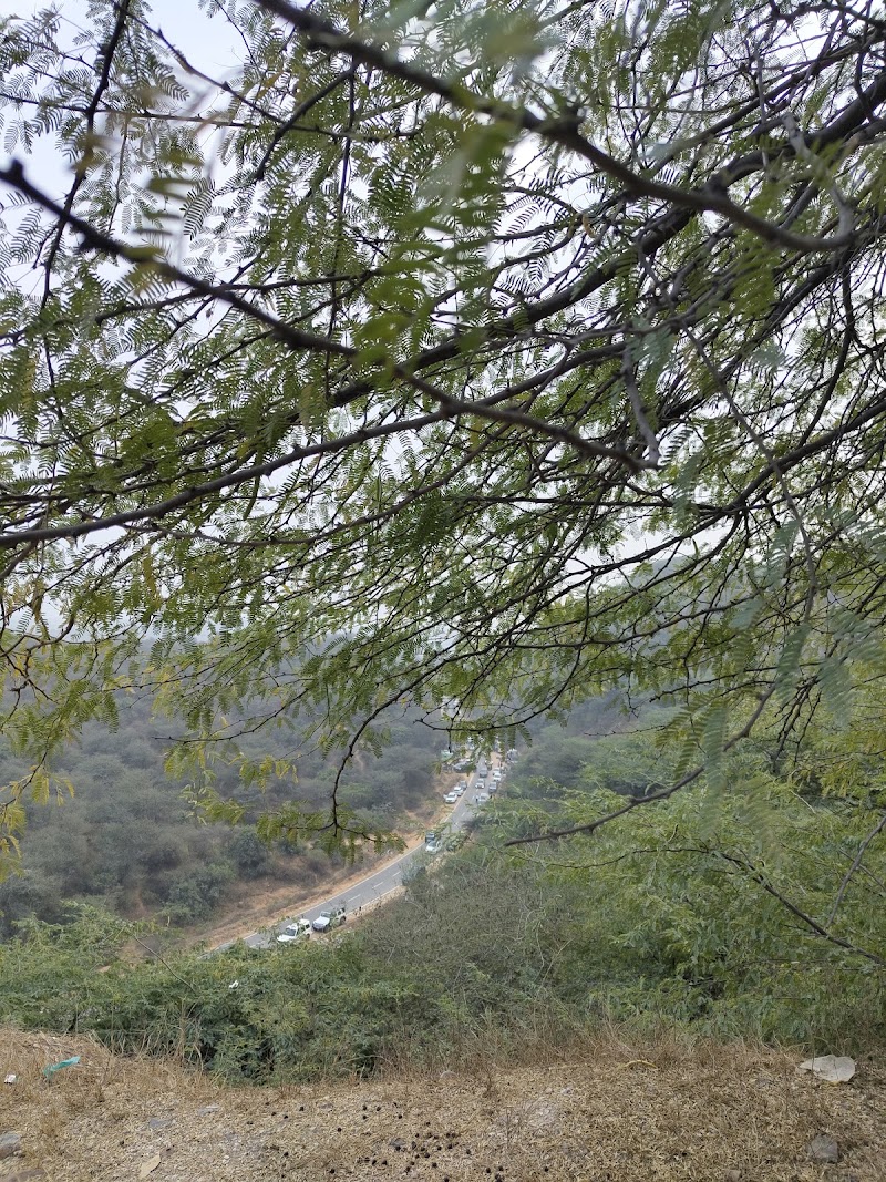 Leopard Trail View - Leopard Trail View 9X5W+7VW, Gurugram, Haryana 122101, India