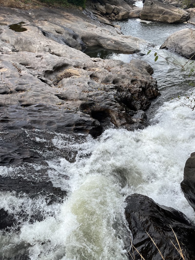 Waterfalls - Waterfalls 33Q5+HRC, Nullatanni, Munnar, Keralam 685612, India