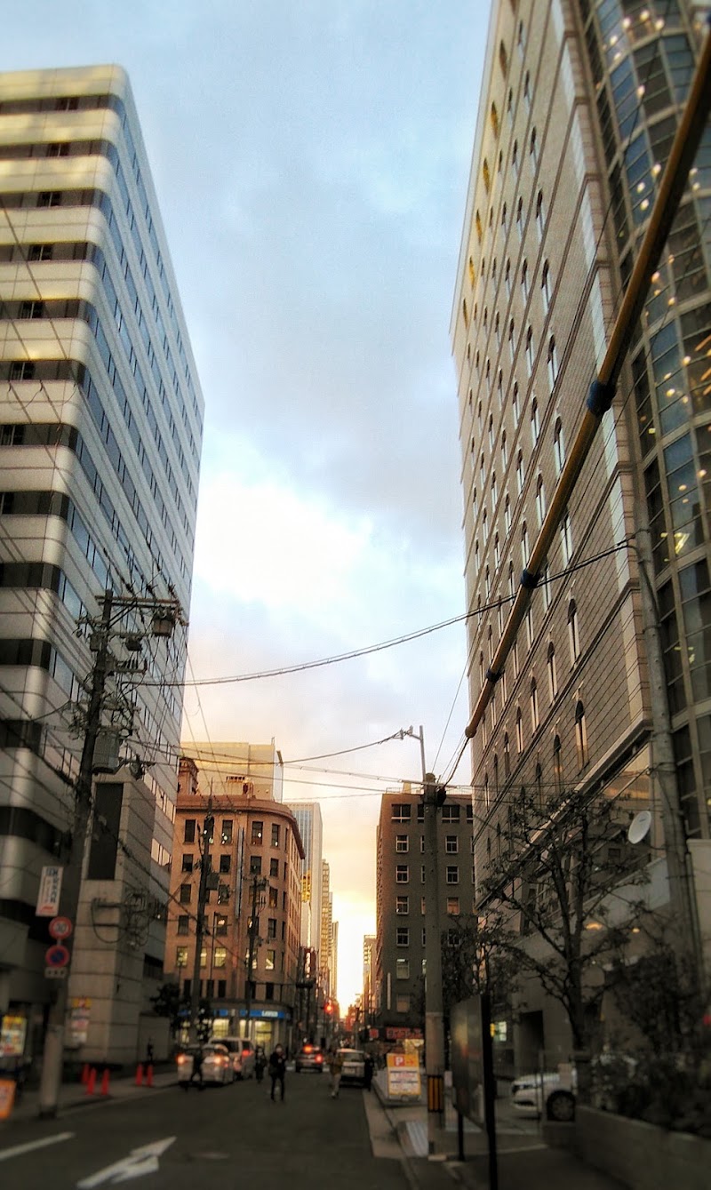 Minamihonmachi - Minamihonmachi, Chuo Ward, Osaka, 541-0054, Japan