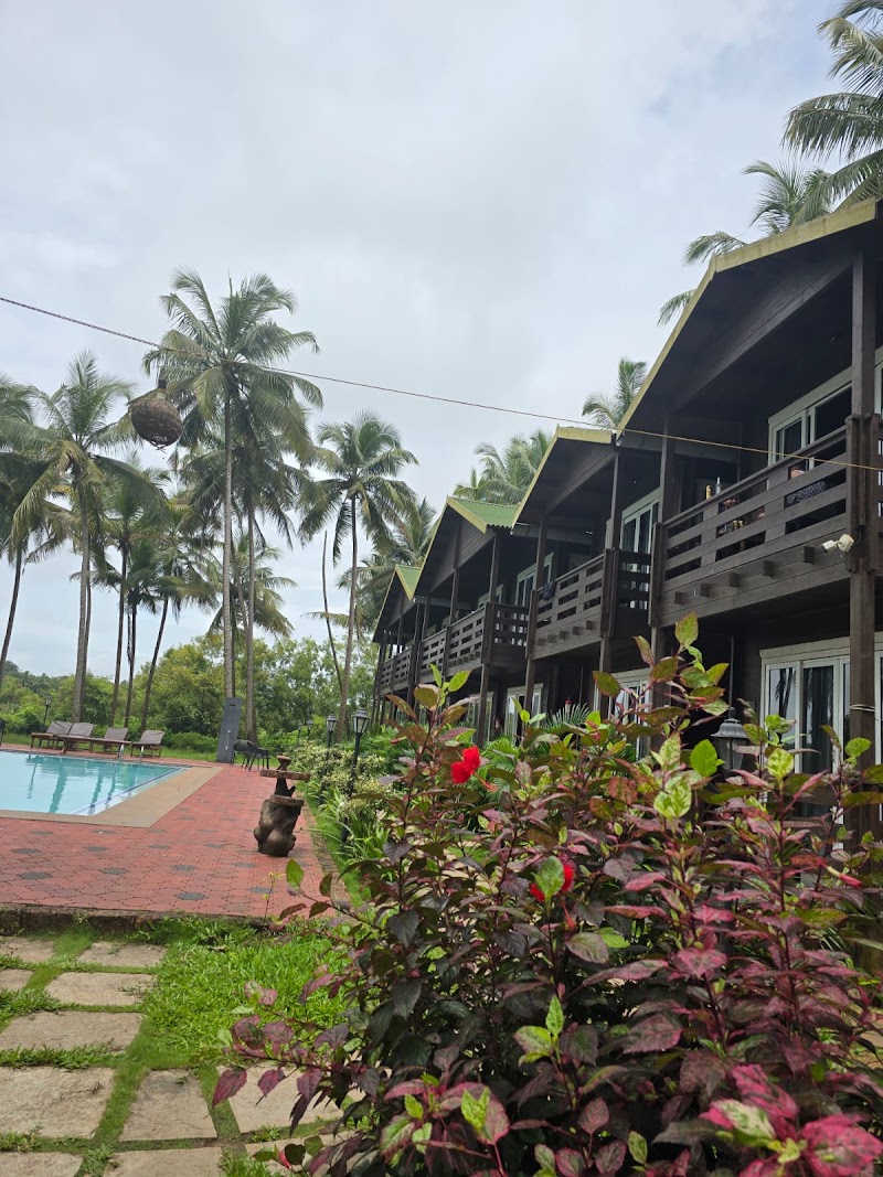 Seclude Eco Cottages - Seclude Eco Cottages Plot no 566/1, Gauwaddi, Anjuna, Goa 403509, India