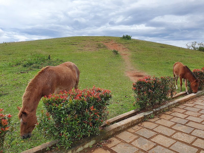 Vagamon Meadows - Vagamon Meadows Vagamon, Kolahalamedu, Kerala 685501, India