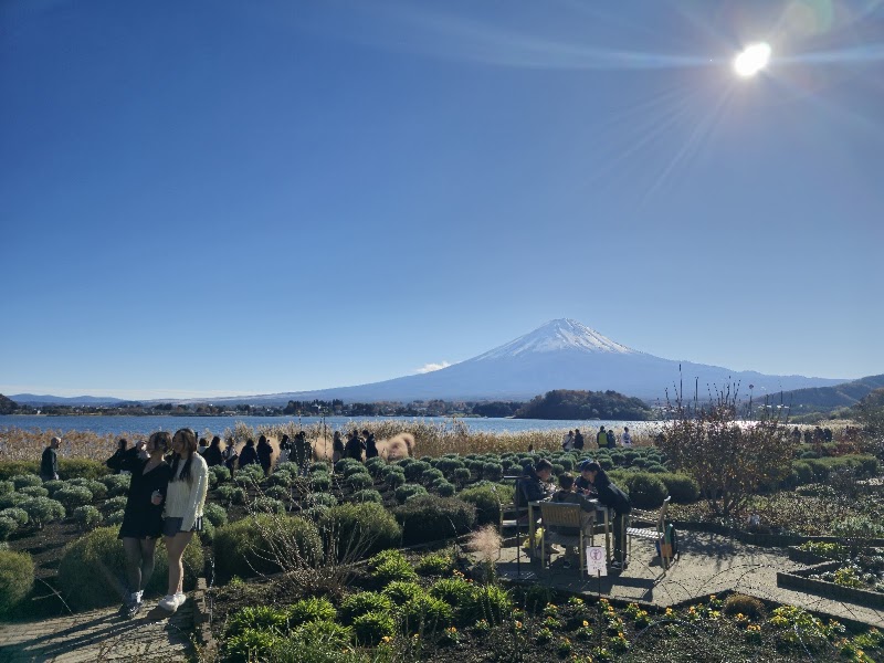 Oishi Park - Oishi Park ２５２５番地の１１先 Ōishi, Fujikawaguchiko, Minamitsuru District, Yamanashi 401-0305, Japan