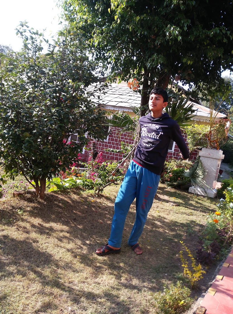 Manjhee Valley Tea Gardens - Manjhee Valley Tea Gardens, 58XW+73C, Hodal, Himachal Pradesh 176215, India